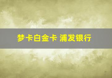 梦卡白金卡 浦发银行